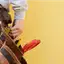 Handyman repair service in Madison, WI for home fixes and improvements